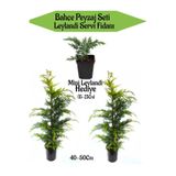 Gardenbox Bahçe Peyzaj Seti, 2 Adet Leylandi Servi Fidanı 40-50cm + Hediye Mini Leylandi Fidanı 15-25cm