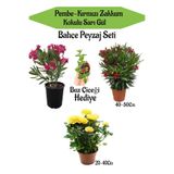Gardenbox Bahçe Seti, 2 Adet Limoni Servi Fidanı, 1 Adet Sarı Gül Fidanı, Hediye Buz Çiçeği