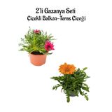 Gardenbox Gazanya Çiçeği, 2 Adet Saksılı, 10-20 cm, Pembe-Turuncu Renk, Bahçe Balkon Çiçeği