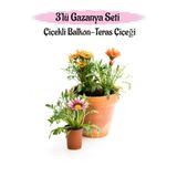 Gardenbox Gazanya Çiçeği, 3 Adet Saksılı, 10-20 cm, Pembe Beyaz Sarı Kırmızı Renk, Balkon Çiçeği