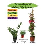 Gardenbox Kırmızı Begonvil, Katmerli Ful Yasemin, Tül Kuşkonmaz 3'lü Peyzaj Seti