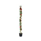 Gardenbox Kırmızı Yediveren Sarmaşık Gül Fidanı, 3 Adet, Saksılı, 80-160cm, Kokulu, Climbing Rose