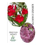 Gardenbox Kırmızı Zakkum Çiçeği 30-60cm, Pembe Erguvan Ağacı Fidanı 50-70cm Combo Set