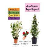 Gardenbox Kokulu Arap Yasemini+Beyaz Begonvil+Mini Gül Hediyeli 3'lü Bahçe Seti