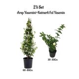 Gardenbox Kokulu Bahçe Seti, Arap Yasemini + Katmerli Ful Yasemin Çiçeği Fidanı, 2'li Set