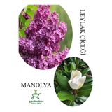 Gardenbox Kokulu Leylak Çiçeği Fidanı 30-60cm + Manolya Çiçeği Fidanı 30-60cm, Saksılı, Set