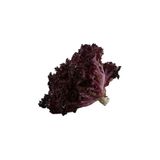 Gardenbox Lollorosso Kıvırcık Marul Tohumu, 100 Adet