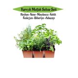 Gardenbox Mutfak Sebze Seti Reyhan Nane Kekik Fesleğen Biberiye Adaçayı Fidesi Toplam 6 Adet