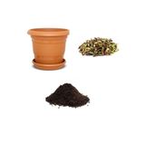 Gardenbox Nadir Kınalı Bamya Tohumu, 10 Adet Ekim Seti, Toprak ve Saksı Dahil
