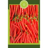 Gardenbox Şili Biberi Tohumu Acı, 30 Adet, Bol Verimli
