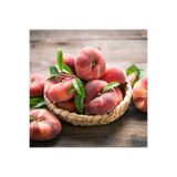 Gardenbox Yassı Şeftali Fidanı, Tüplü, Bol Verimli, 2 Yaş