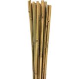 Gardener 63722 Bambu Destek Çubuğu 5'li 18-20 mm X 210 cm