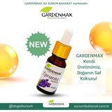 Gardenmax Buhurdanlık Esansı ( Lavanta )