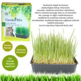 Gardenmix Kedi Çimi 18X13 Cm Skt : 05/2029