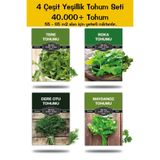 Gardina Mega Boy 4 Çeşit Yeşillik Tohum Paketi Maydanoz , Roka , Tere , Dereotu Toplam 100 Gr. 45.000 Tohum