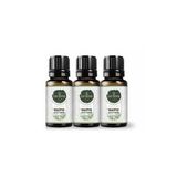 Gardone 10 ml Okaliptüs Uçucu Yağı Buhurdanlık Ortam Kokusu (3 adet)