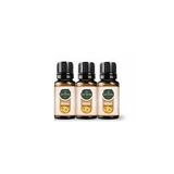Gardone 10 ml Portakal Uçucu Yağı Buhurdanlık Ortam Kokusu (2 adet)