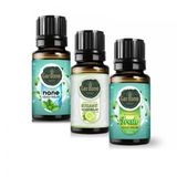 Gardone 3x10 ml Hazan Ortam Koku Seti