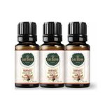 Gardone Hanımeli Uçucu Yağı Buhurdanlık, Ortam Kokusu 3 x 10 ml