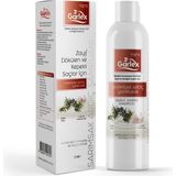 Garlex Sarımsak & Ardıç Şampuanı Kepekli Saçlar İçin Güçlü Bakım 250 ml Erkek Kullanıcılar İçin
