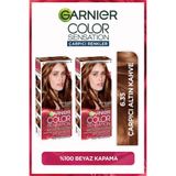 Garnier 2'li Garnier Çarpıcı Renkler, 6.35 Çarpıcı Altın Kahve, Kalıcı Krem Saç Boyası, Demikit
