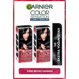Garnier Çarpıcı Renkler 2'li 1.0 Ekstra Yoğun Siyah Saç Boyası