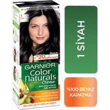 Garnier Color Naturals 1 Siyah Kalıcı Saç Boyası Besleyici Özelliklerle