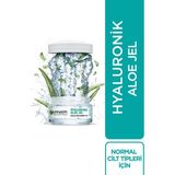 Garnier Hyaluronik Aloe Jel 1 Paket - Adaçayı Yeşili