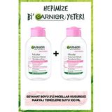Garnier Micellar Makyaj Temizleme Suyu 100 ml x 2 Adet