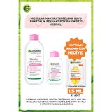 Garnier Micellar Makyaj Temizleme Suyu 400ml & 100ml Seyahat Boy & 1 Haftalık Deneme Boy Bakım Seti Hediyeli