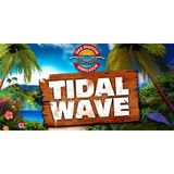 Gas Station Simulator Tidal Wave Dlc (Pc)