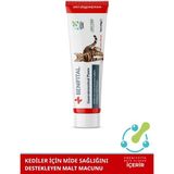 Gastrointestinal Paste 100 gr Kediler Için Mide ve Destekleyici Premium Malt Paste Macun