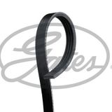 Gates 4PK1313 Kanallı Kayış