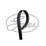 Gates 4PK1590 Kanallı Kayış