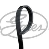 Gates 4PK643SF Kanallı Kayış