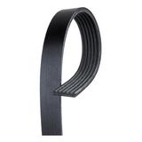 Gates 5PK1005 Kanallı Kayış