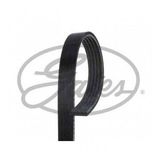 Gates 5PK1030 Kanallı Kayış