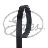 Gates 5PK1148 Kanallı Kayış