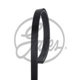 Gates 5PK1640 Kanallı Kayış