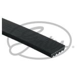 Gates 5PK493 Kanallı Kayış