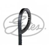 Gates 6309MC 11.5X730 Tırtıllı Kayış