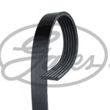 Gates 6PK1305 Kanallı Kayış
