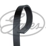 Gates 6PK1620XS Kanallı Kayış