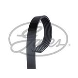 Gates 6PK780SF Kanallı Kayış