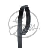 Gates 6PK988 Kanallı Kayış