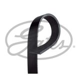 Gates 7PK1550 Kanallı Kayış
