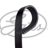 Gates 7PK1800 Kanallı Kayış