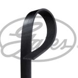 Gates 8PK1370 Kanallı Kayış