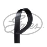 Gates 8PK2035 Kanallı Kayış