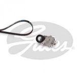 Gates K016PK975 P206 P307 P1007 C2 C3 C4 B-Max Fiesta Focus II C-Max Fusion 1.4 1.6 TDI HDI AC Alternatör Gergi Kiti